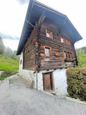 Cosy mountain apartment 5min walk from Gondola